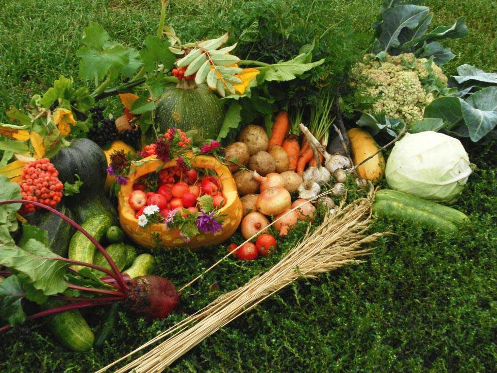 Так ли важно питаться «чистыми продуктами» или эта проблема надумана?